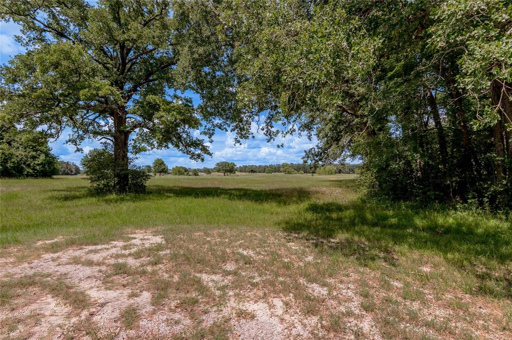 Lot 14 Galveston Lane, Trinity, Texas image 3