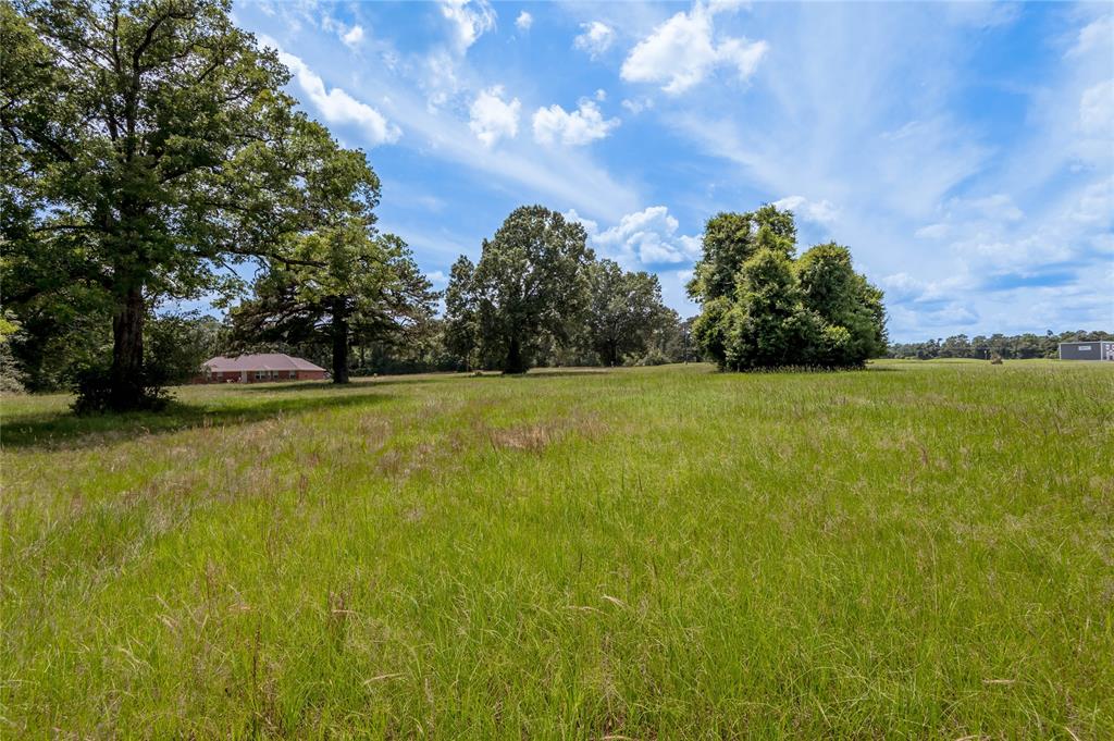 Lot 14 Galveston Lane, Trinity, Texas image 6