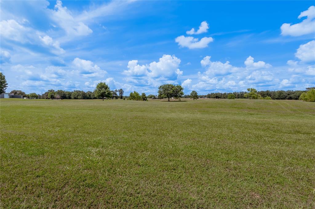 Lot 14 Galveston Lane, Trinity, Texas image 9