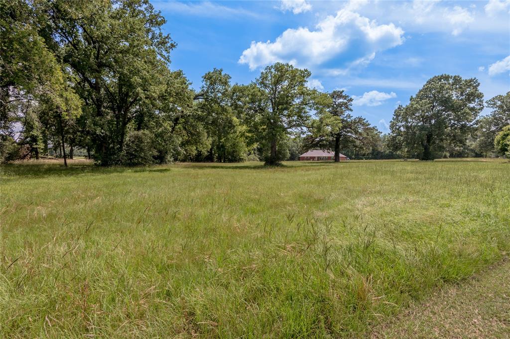 Lot 14 Galveston Lane, Trinity, Texas image 10