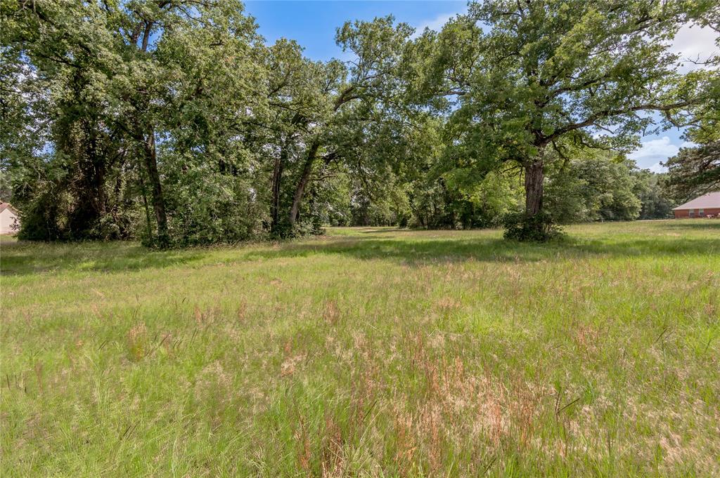 Lot 14 Galveston Lane, Trinity, Texas image 11