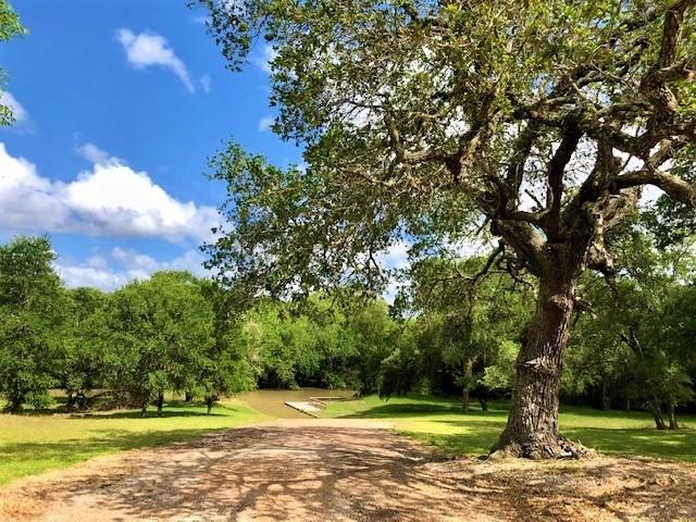 223 River Tree Drive, Palacios, Texas image 7