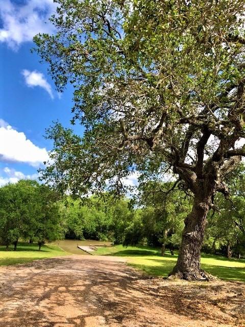 223 River Tree Drive, Palacios, Texas image 12