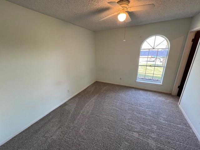421 Countryside Drive, West Columbia, Texas image 11