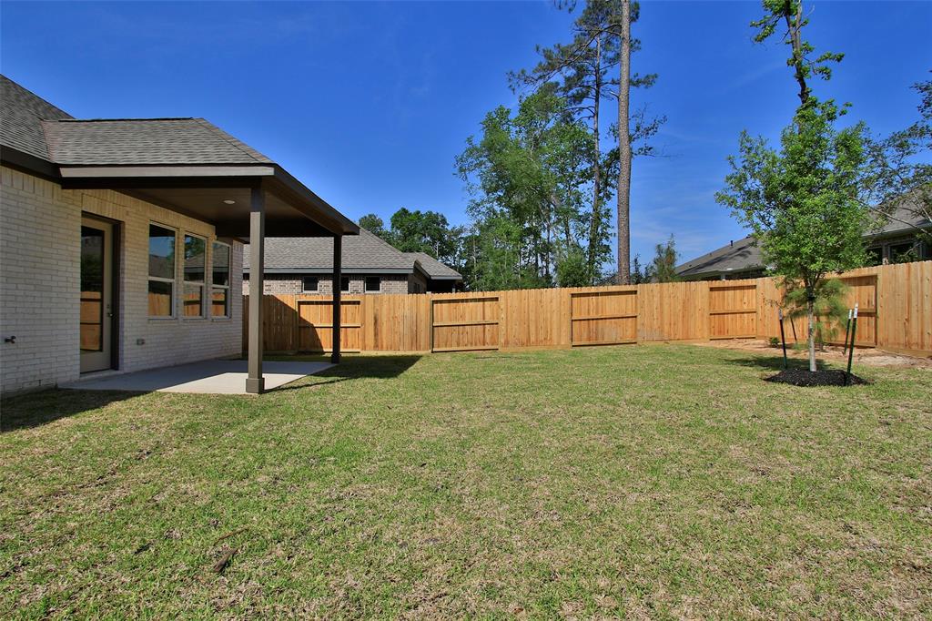 206 Brecon Buff Drive, Willis, Texas image 42