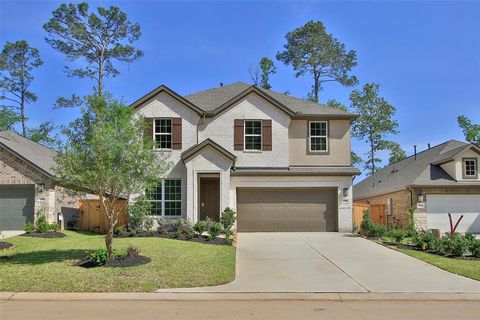 206 Brecon Buff Drive Willis TX 77318