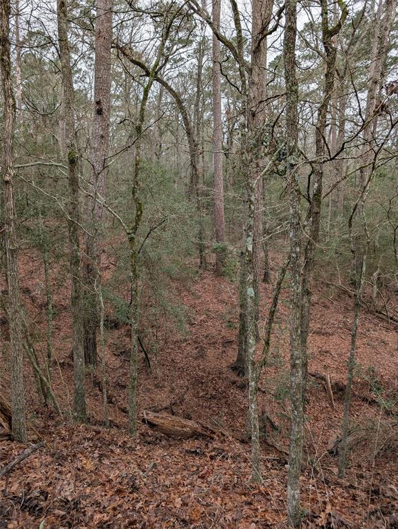 Hann Place, Huntsville, Texas image 13