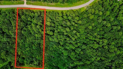 Photo of 24 Sandpiper Drive, Huntsville, TX 77358 (MLS # 92423486)