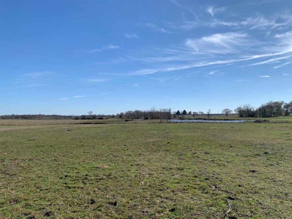 000 Giboney Road, Hempstead, Texas image 8