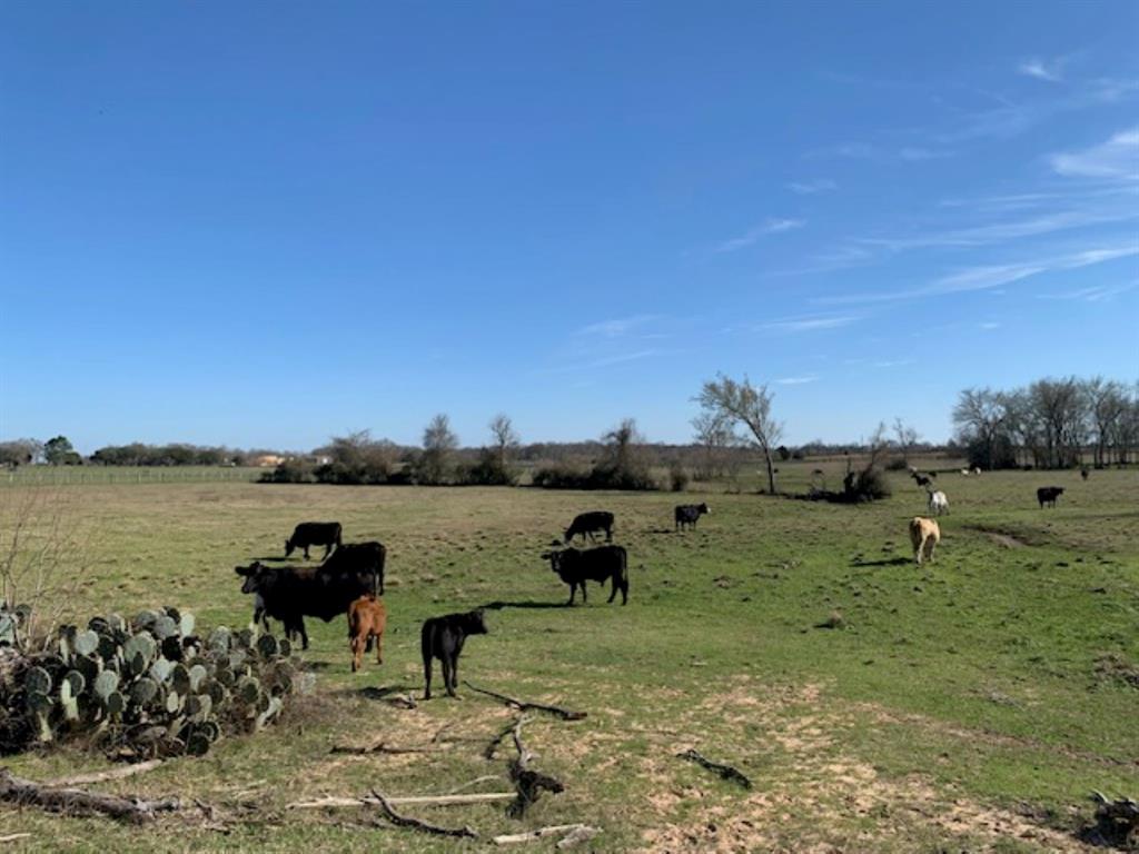 000 Giboney Road, Hempstead, Texas image 14