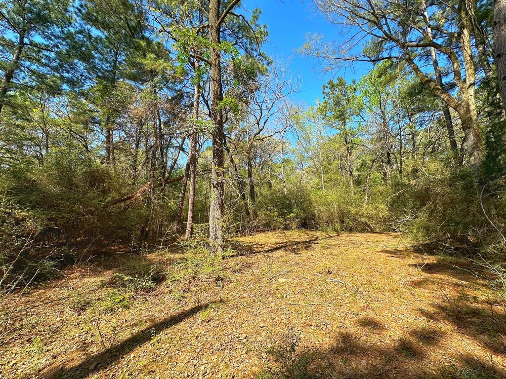 751 Cr 121, Centerville, Texas image 7