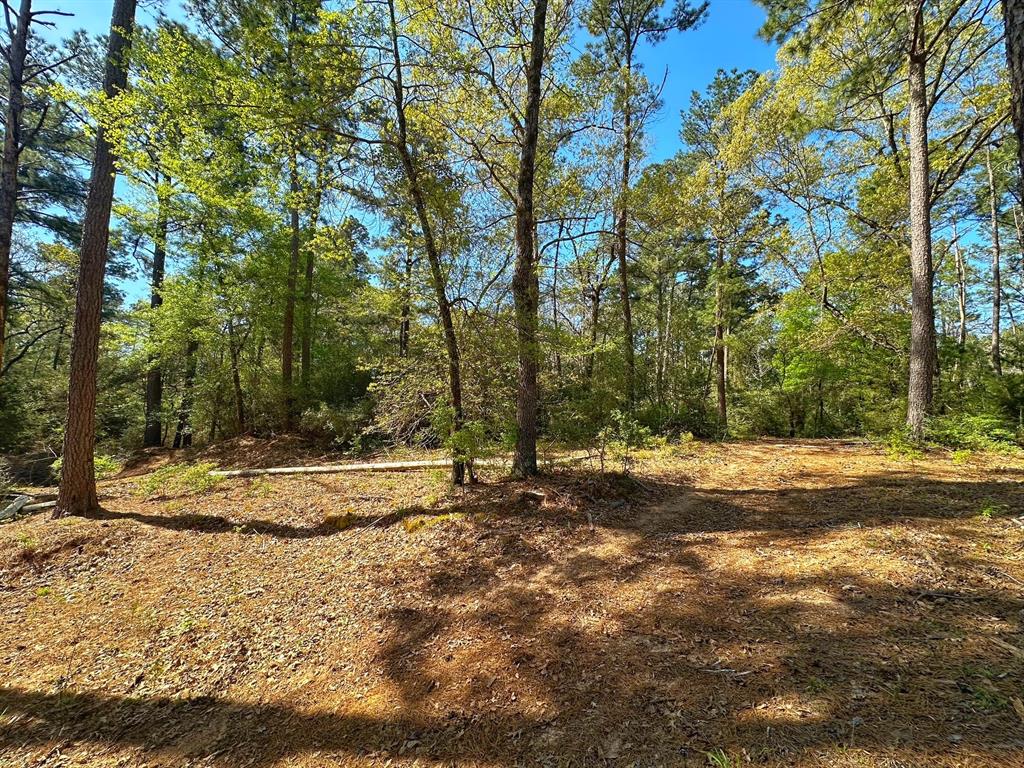 751 Cr 121, Centerville, Texas image 9