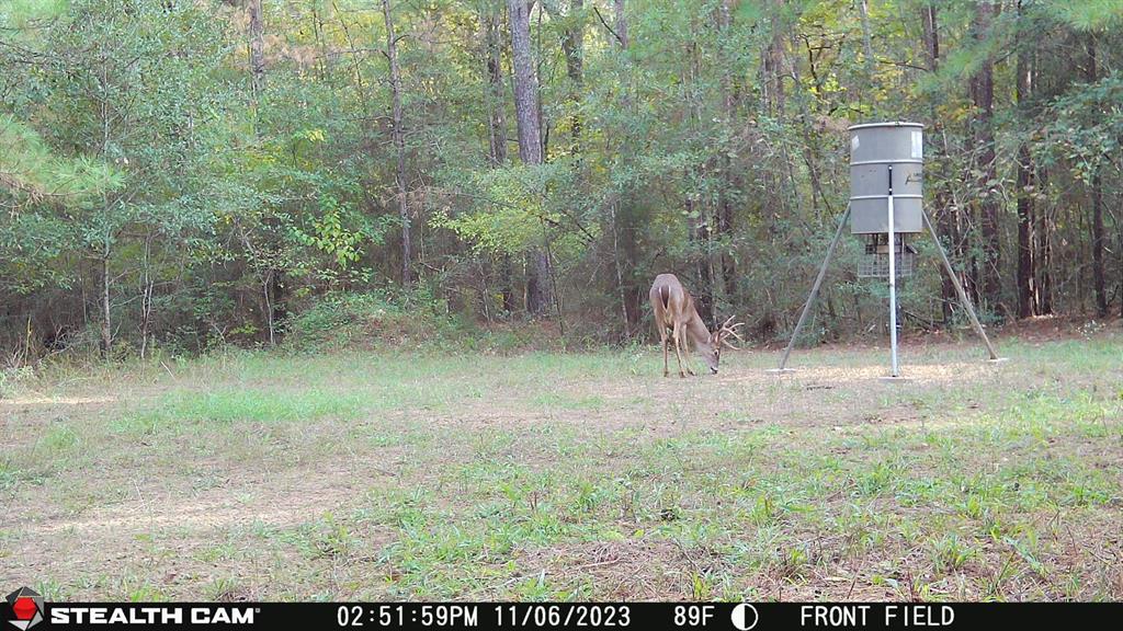 61 AC County Road 201, Plantersville, Texas image 13