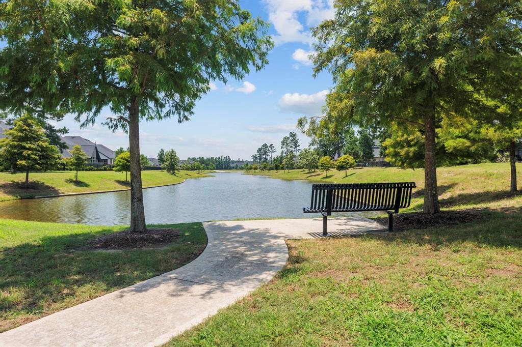 10544 Scarce Chaser Street, Conroe, Texas image 39