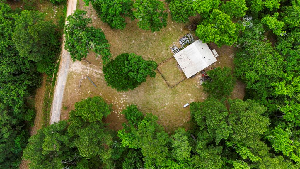 1857 Pr 1195, Midway, Texas image 26