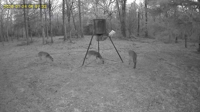 1857 Pr 1195, Midway, Texas image 2