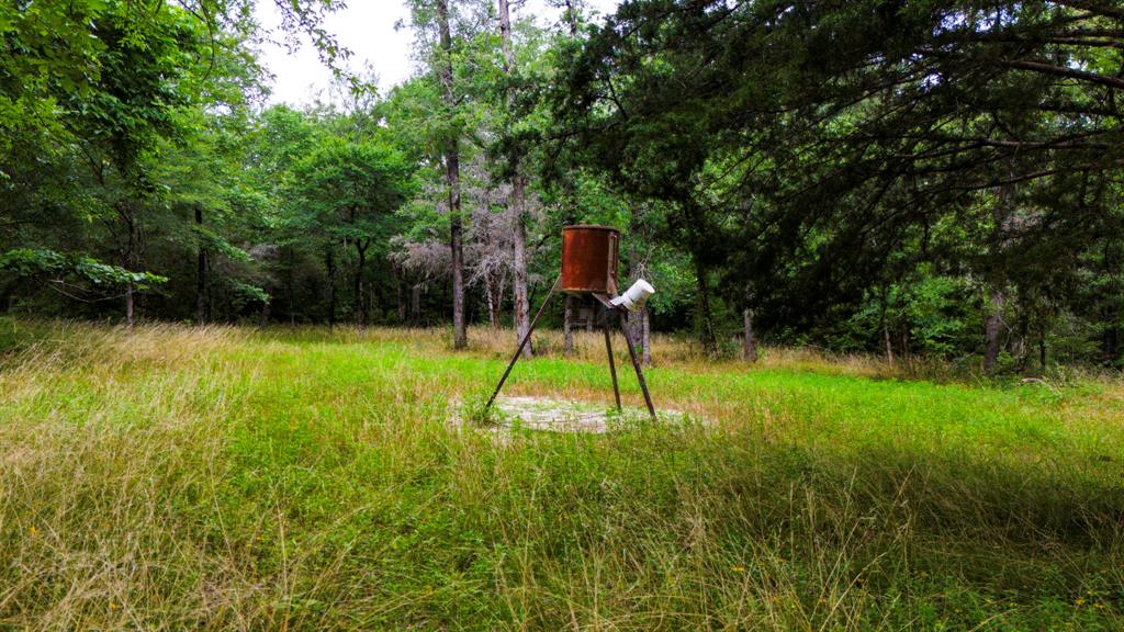 1857 Pr 1195, Midway, Texas image 37