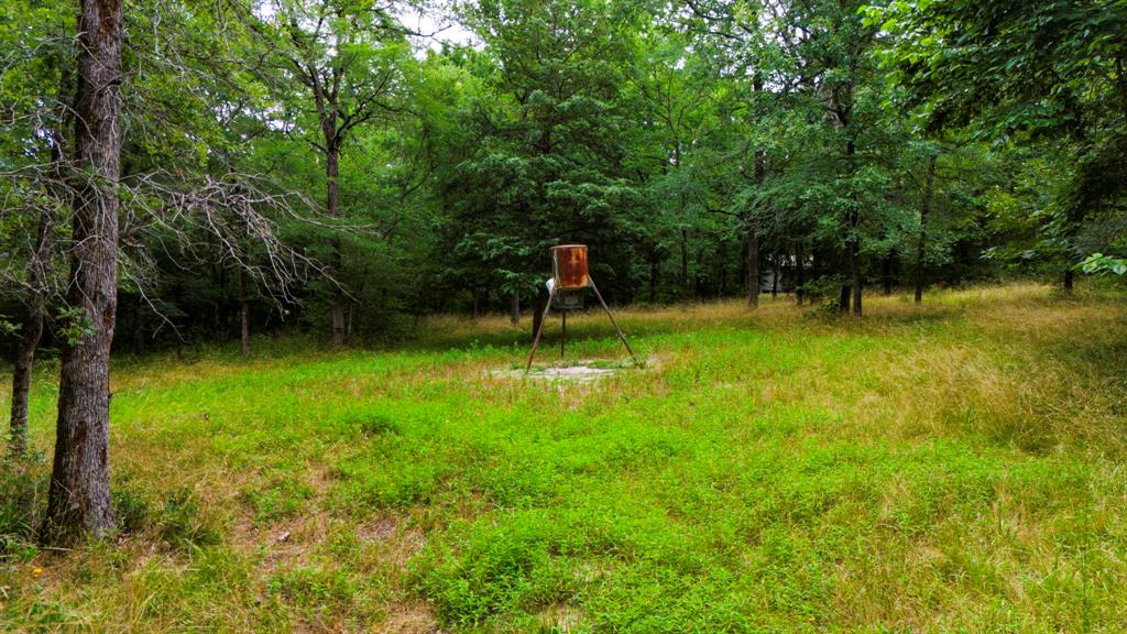 1857 Pr 1195, Midway, Texas image 36