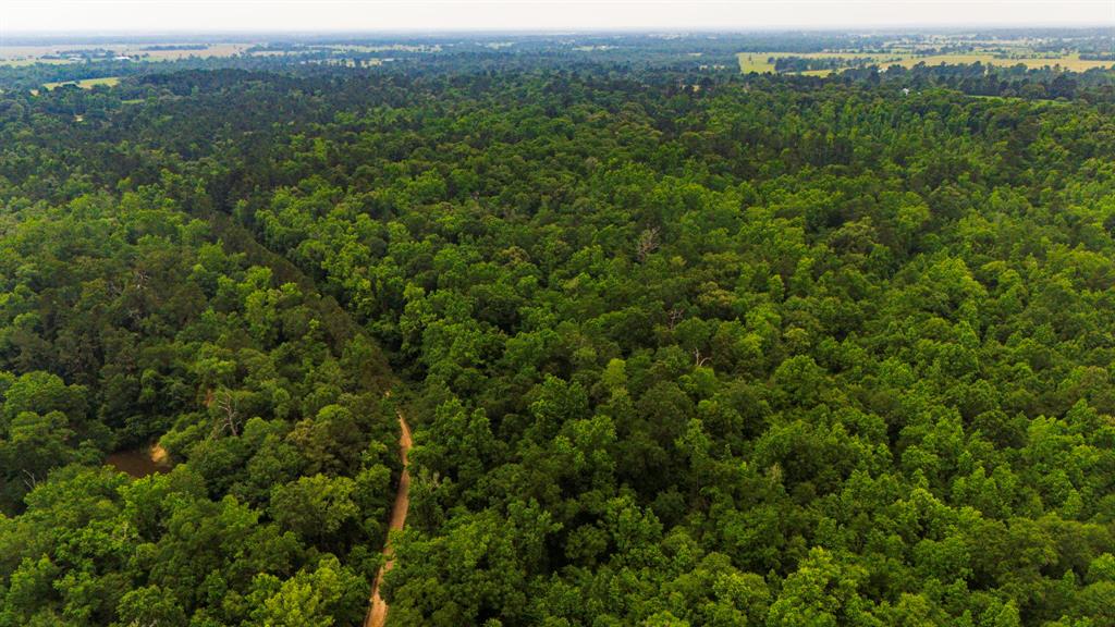 1857 Pr 1195, Midway, Texas image 29