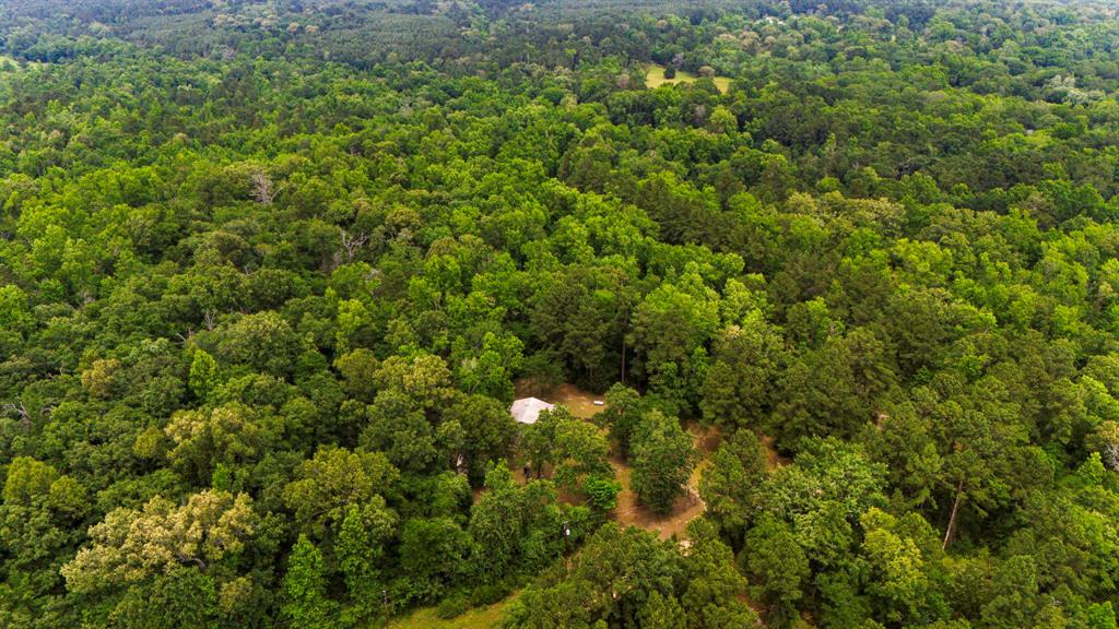1857 Pr 1195, Midway, Texas image 31