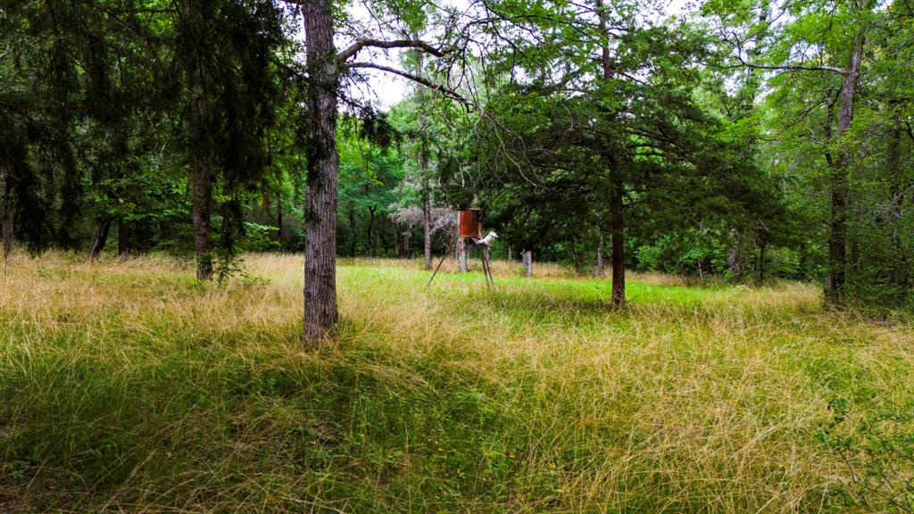 1857 Pr 1195, Midway, Texas image 39