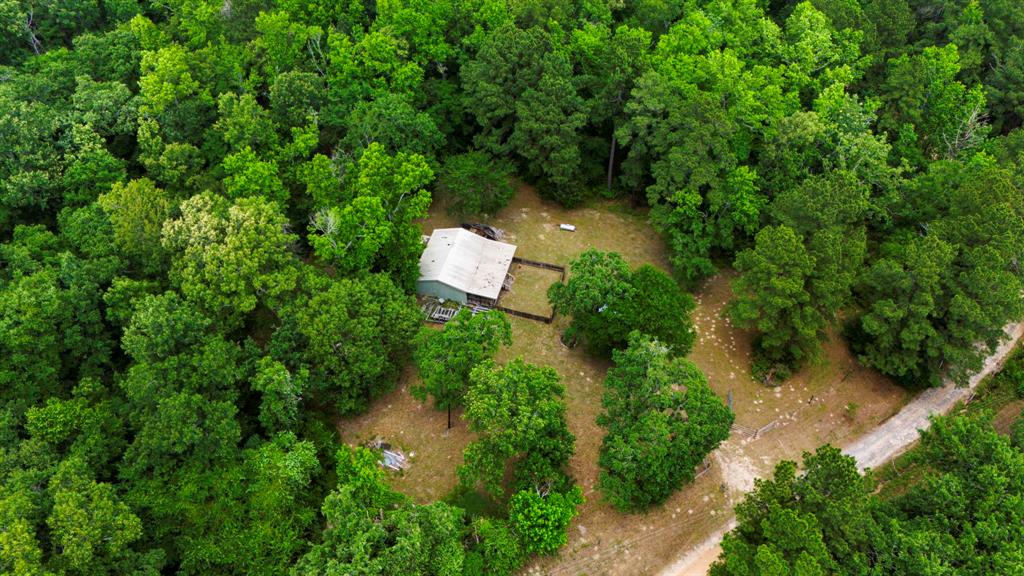 1857 Pr 1195, Midway, Texas image 21
