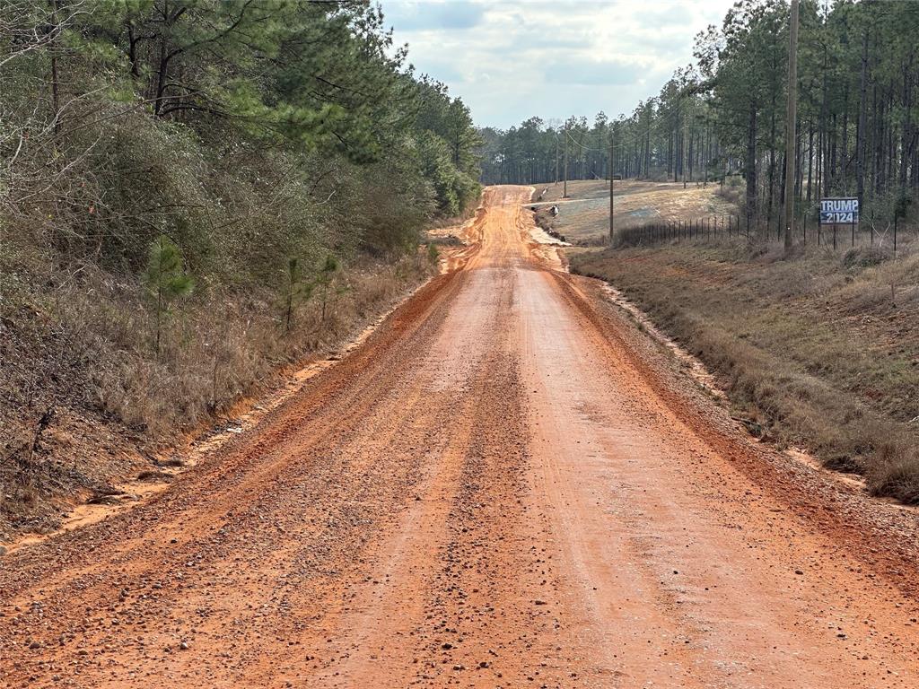 Tract 18 Richardson Road, Livingston, Texas image 8