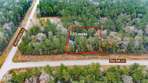 Photo of 0 Sky Oak Lane, Huntsville, TX 77340 (MLS # 46547354)