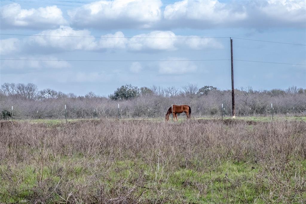 10482 County Road 276, Somerville, Texas image 11