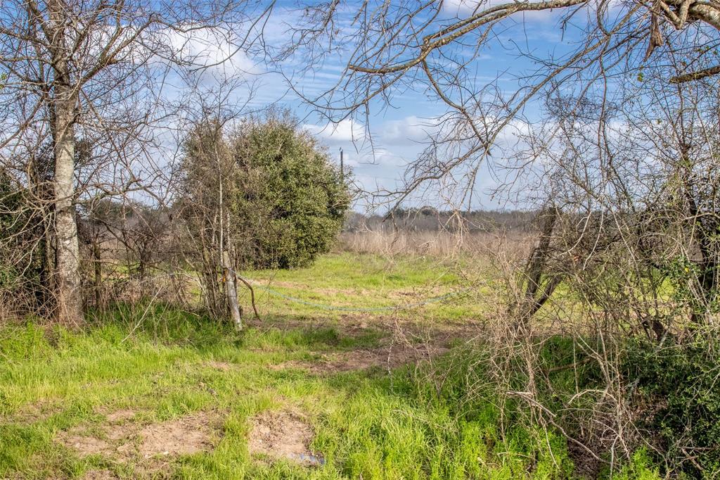 10482 County Road 276, Somerville, Texas image 3