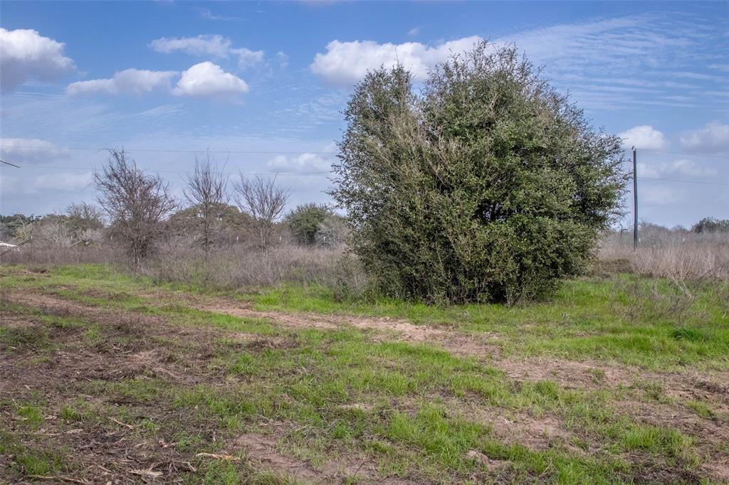 10482 County Road 276, Somerville, Texas image 5