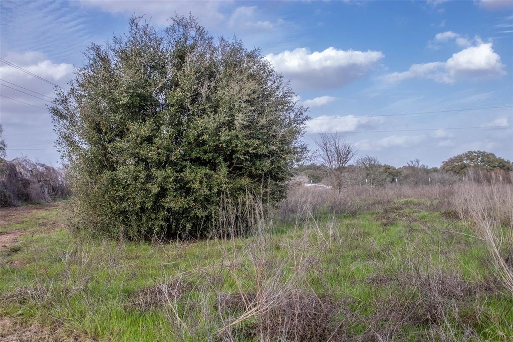 10482 County Road 276, Somerville, Texas image 2