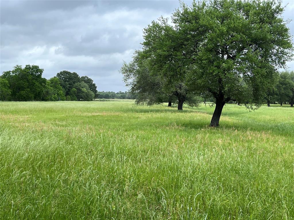 Kz Road, Cypress, Texas image 9