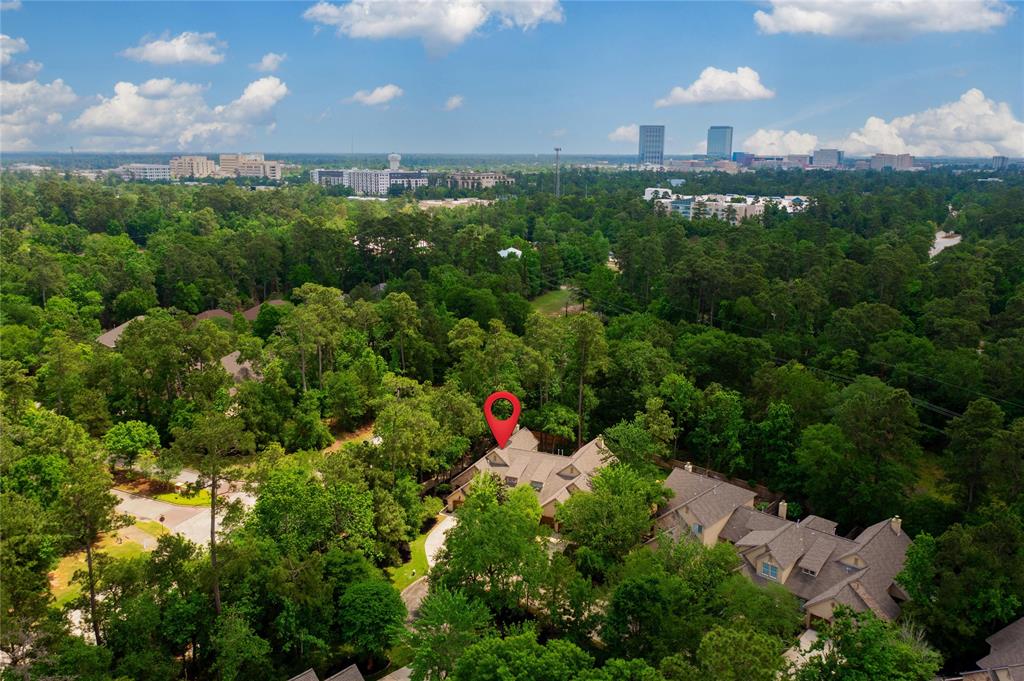 3 Cobble Gate Place, The Woodlands, Texas image 43