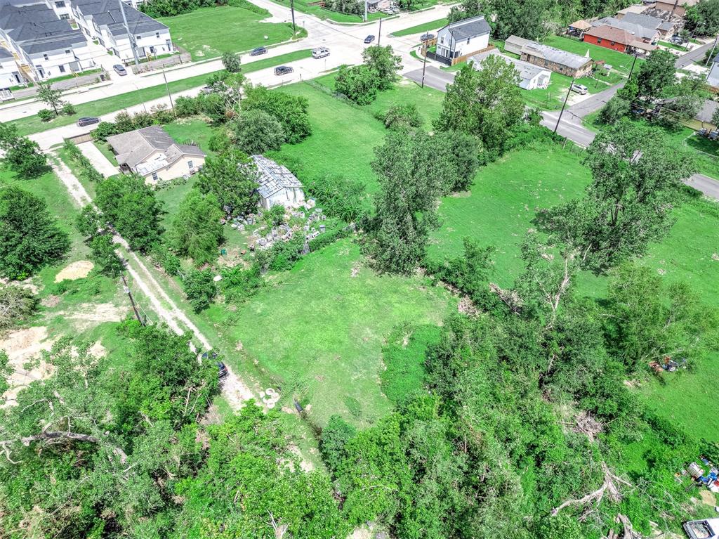 Druid Avenue, Houston, Texas image 3
