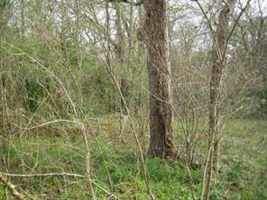 TBD 000 Cr-825e, West Columbia, Texas image 9