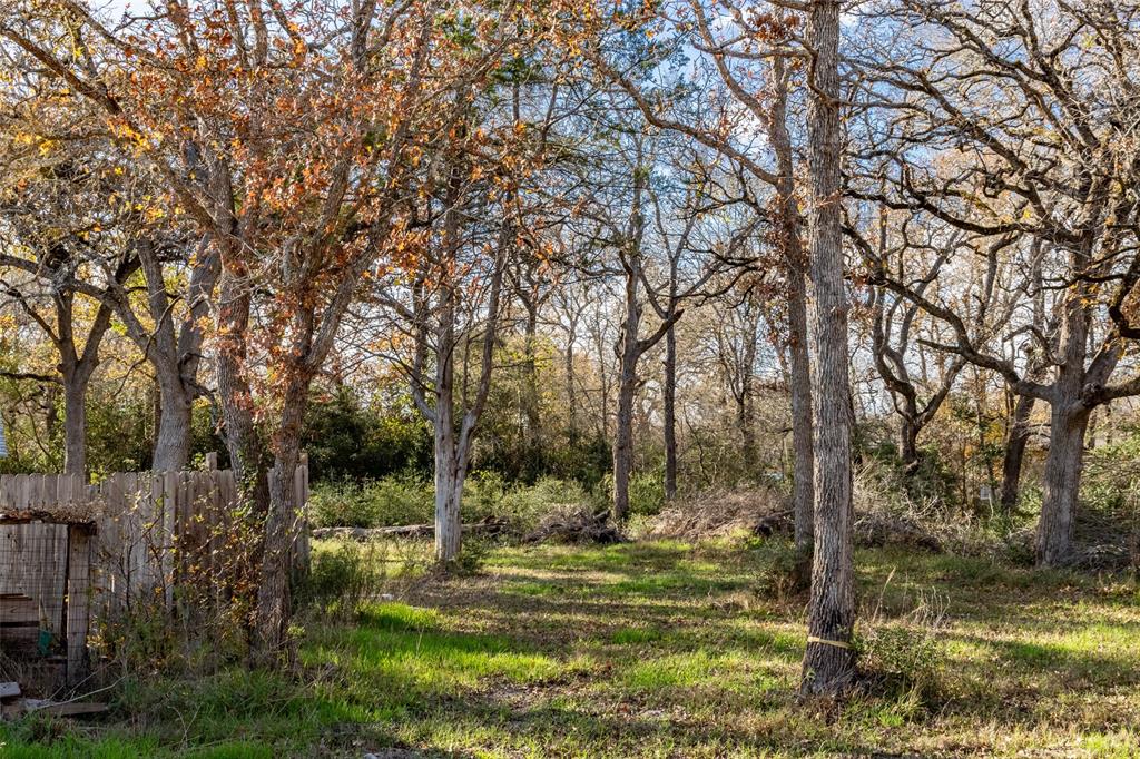 317 Beaver Landing Lndg, Caldwell, Texas image 32