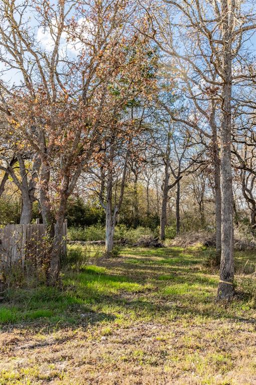 317 Beaver Landing Lndg, Caldwell, Texas image 34