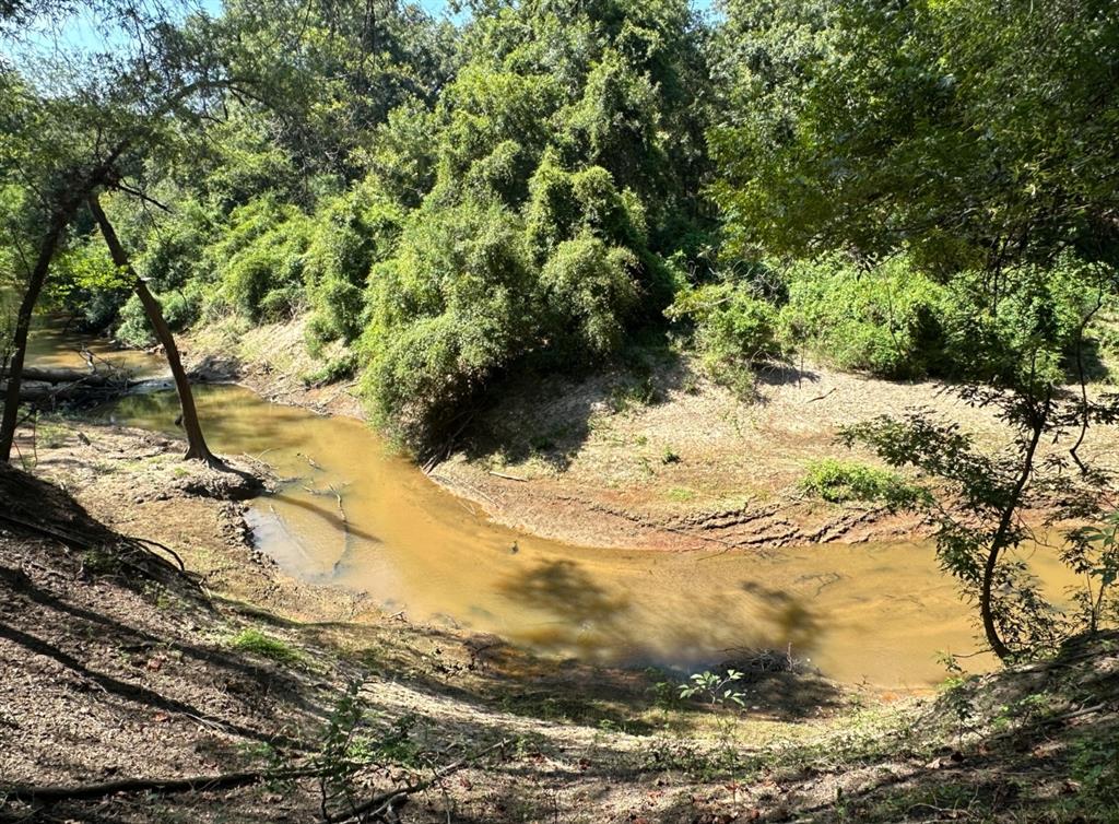 TBD County Road 112, Centerville, Texas image 15