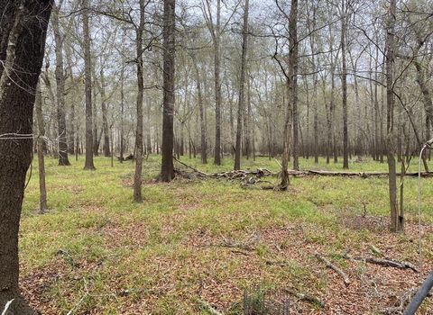 TBD County Road 112 Centerville TX 75833