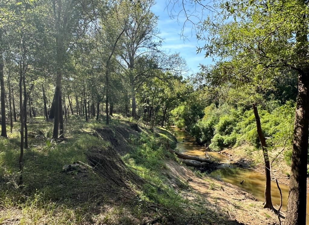 TBD County Road 112, Centerville, Texas image 14