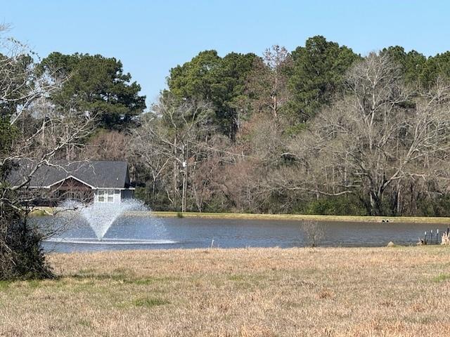 TBD14 High Meadow, Trinity, Texas image 4