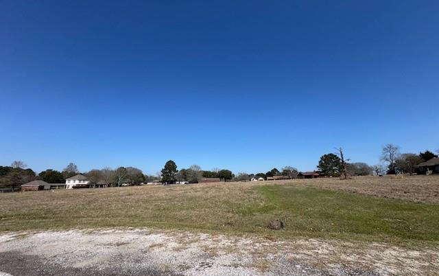 TBD14 High Meadow, Trinity, Texas image 7