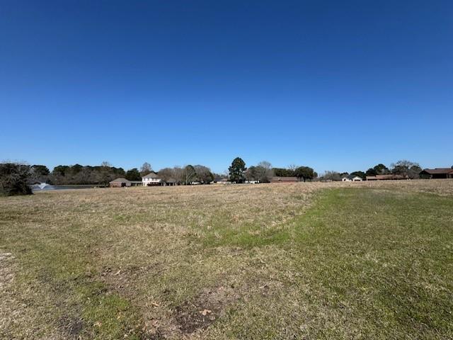 TBD14 High Meadow, Trinity, Texas image 8