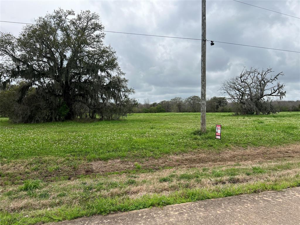 484 Pony Trail, Angleton, Texas image 3