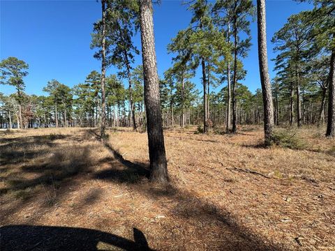Photo of 28 Private Road 6028, Brookeland, TX 75931 (MLS # 97083394)