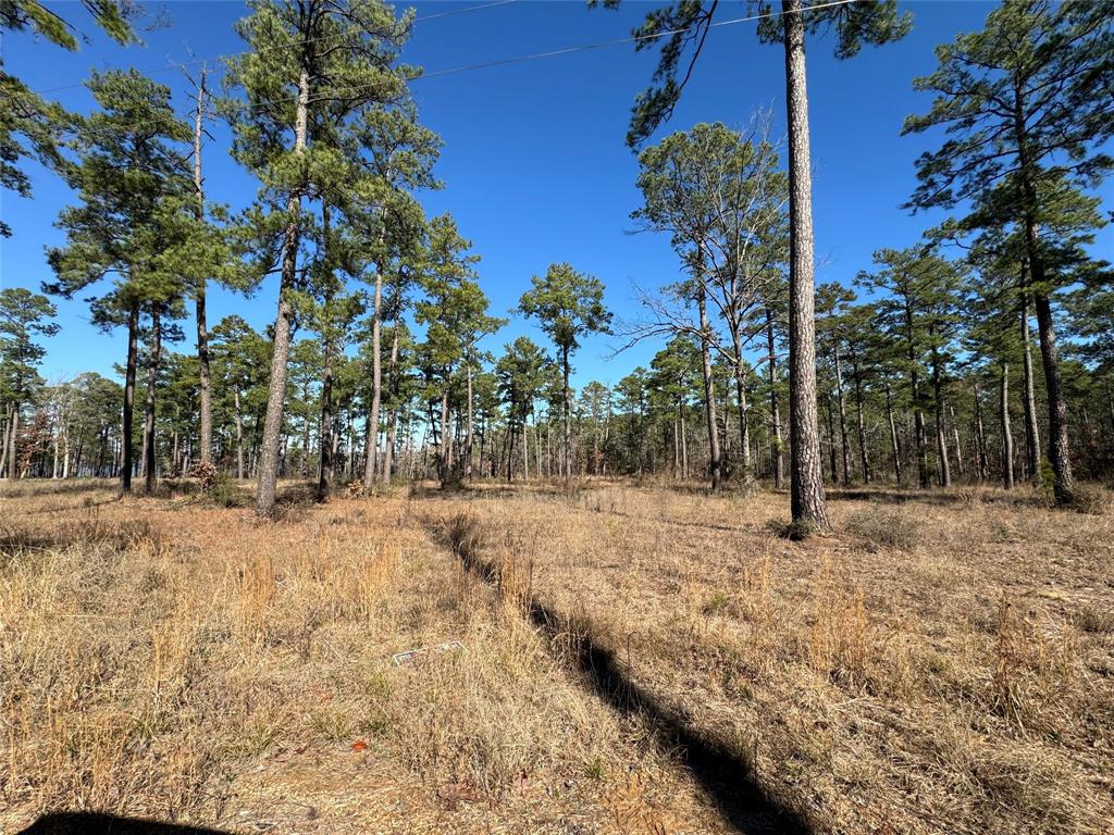 TBD28 Private Road 6028, Brookeland, Texas image 6