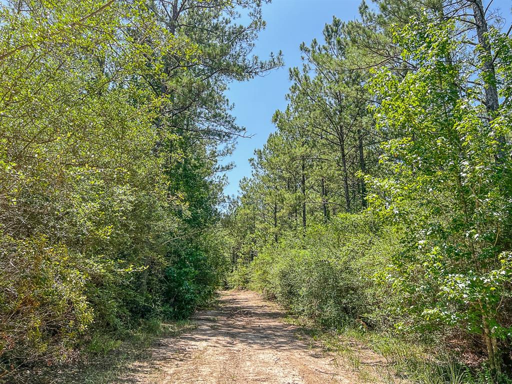 01 Cr 364, Zavalla, Texas image 9