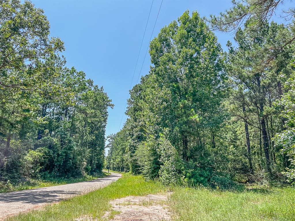 01 Cr 364, Zavalla, Texas image 12