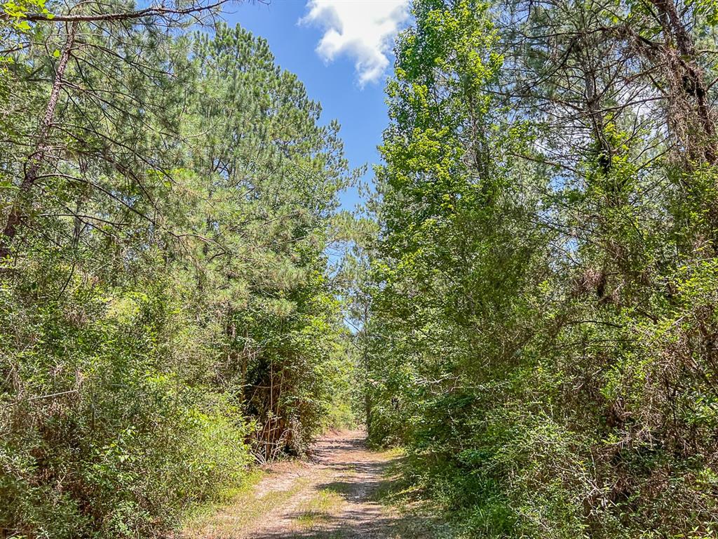 01 Cr 364, Zavalla, Texas image 8